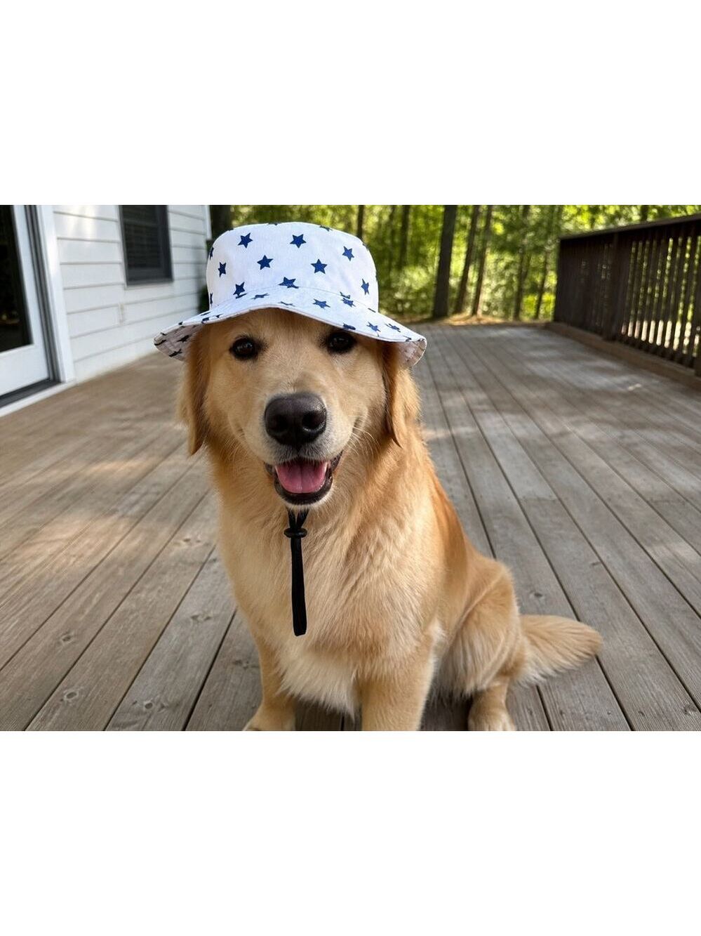 Top Paw Dog Bucket Sun Hat, Patriotic Stars, Adjustable Strap, Americana, Sz M/L